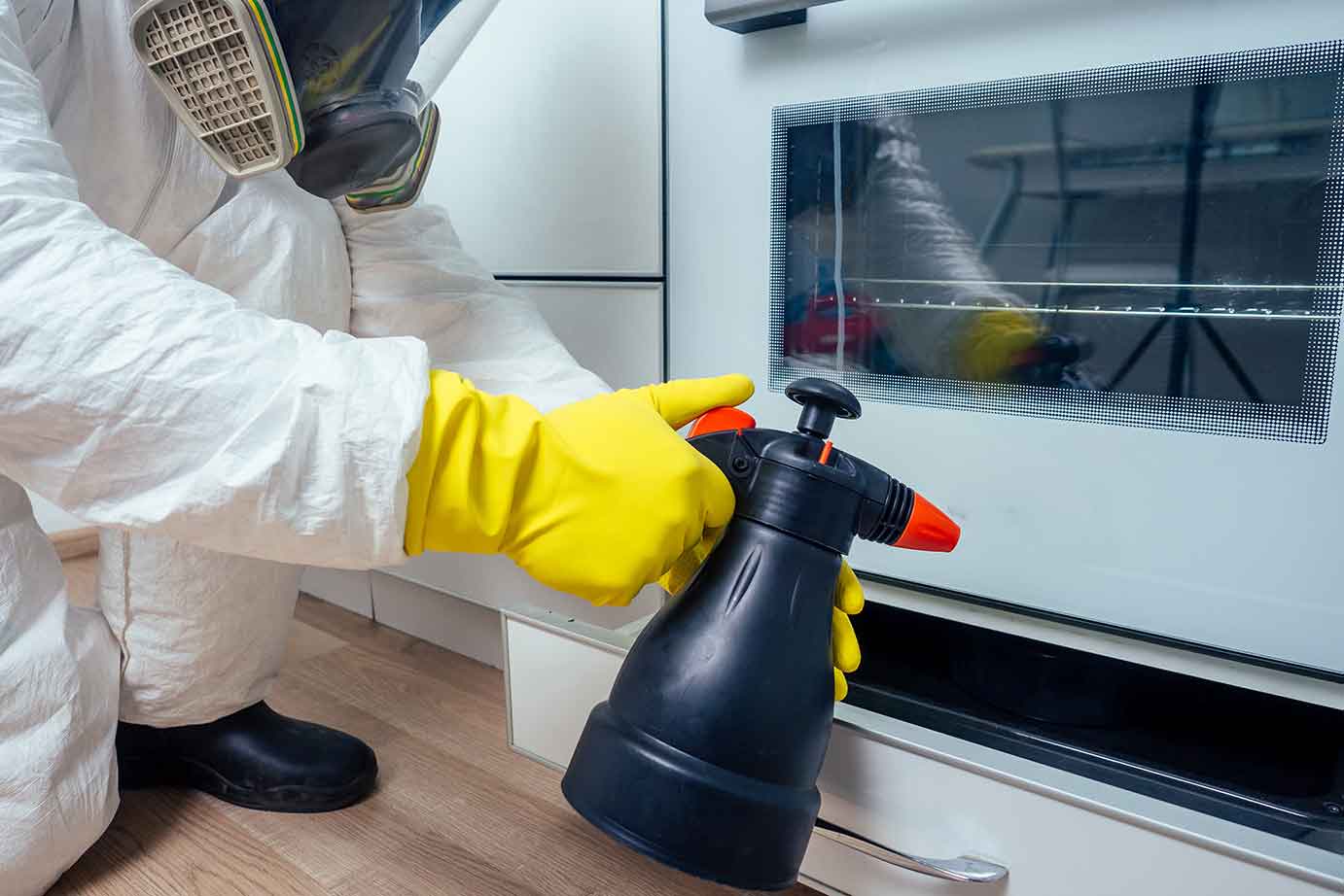 pest-control-services
